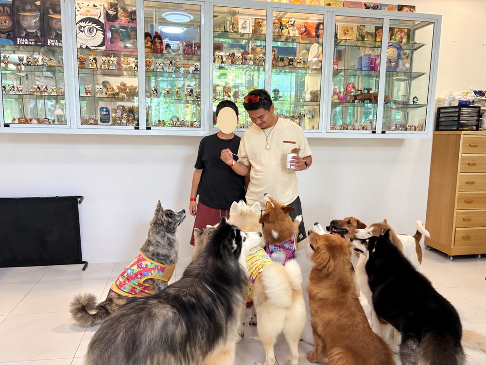 Hua Hin travel guide: Family visit to a dog café