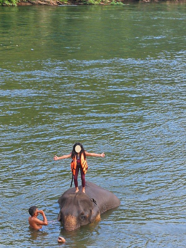 Kanchanaburi travel guide: An earlier family elephant visit in Kanchanaburi