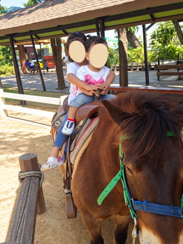 Khao Yai travel guide: my children on a horse at Chokchai Farm