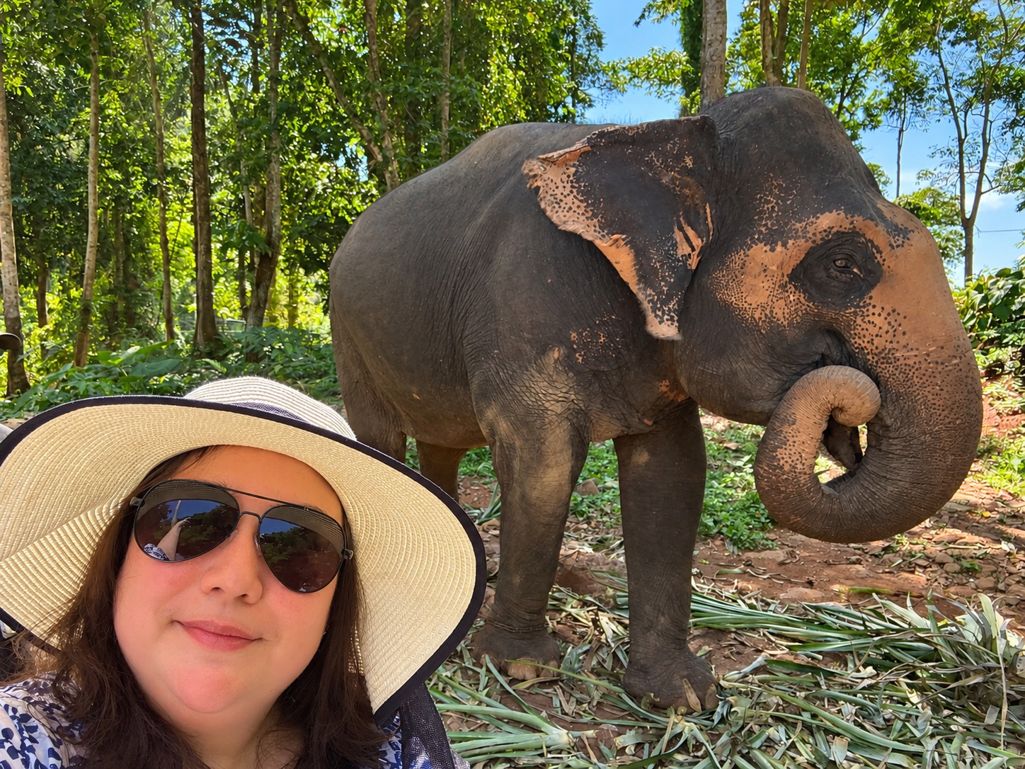 Family photograph beside an elephant among trees