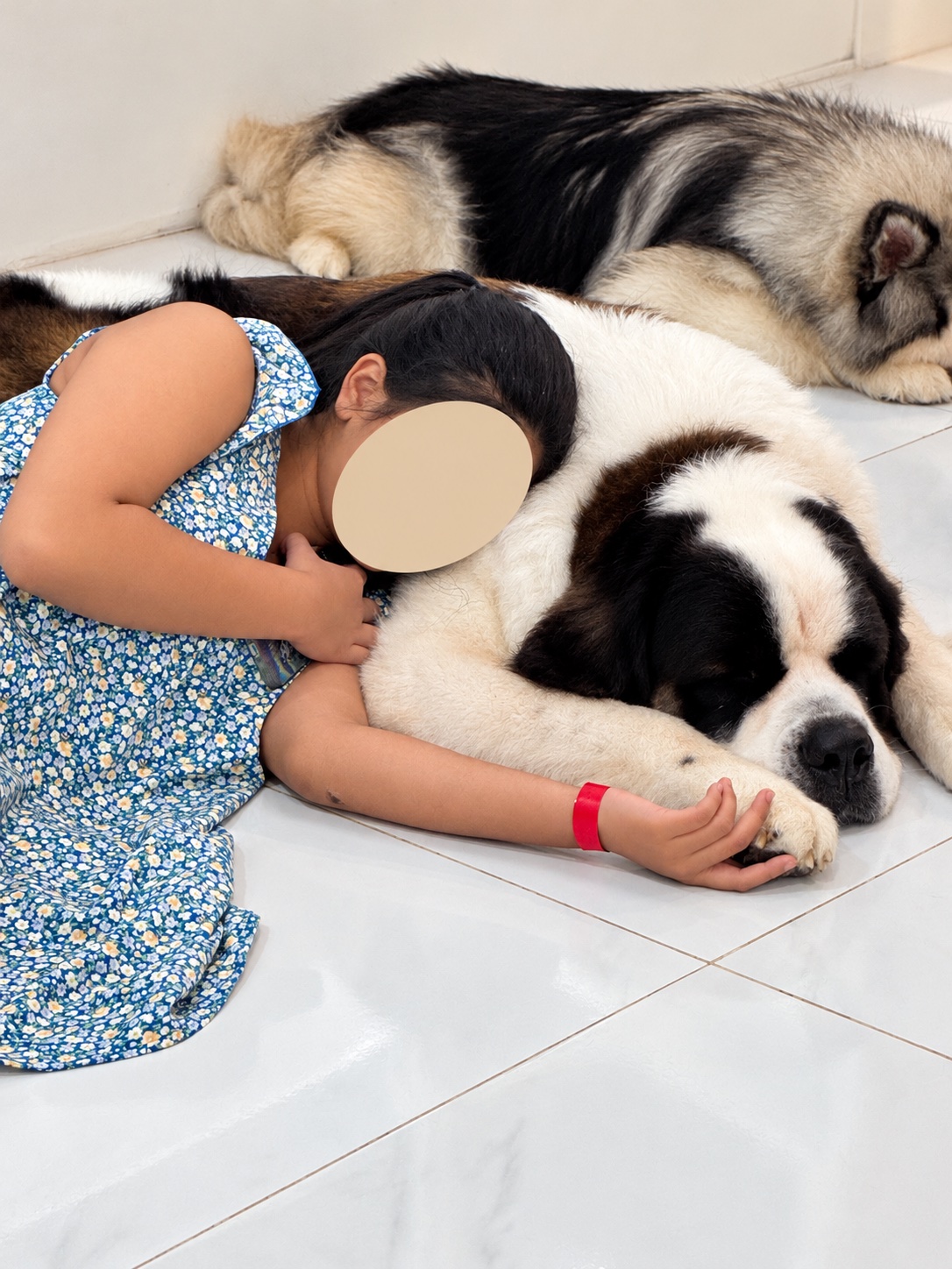 Our child beside a dog at Dog’C Blog Felicita’, with face covered