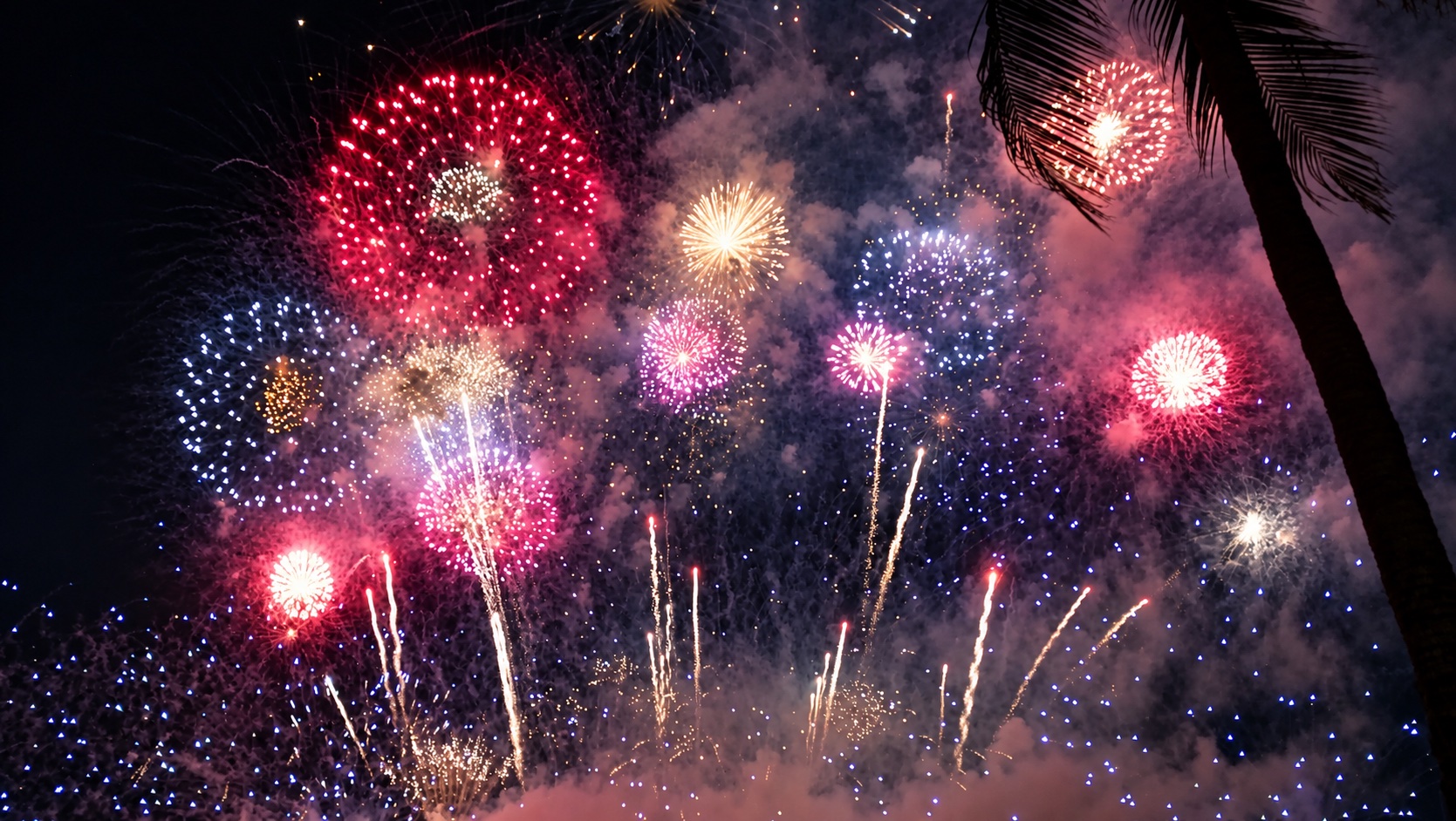 Colourful fireworks above Pattaya with a palm tree silhouette