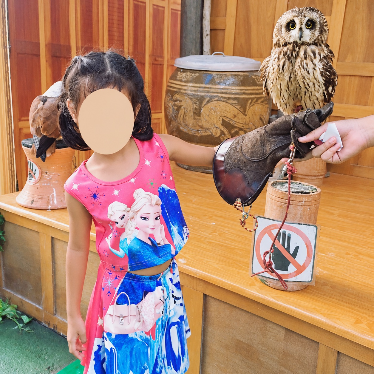 Our family owl encounter at Monster Aquarium Pattaya